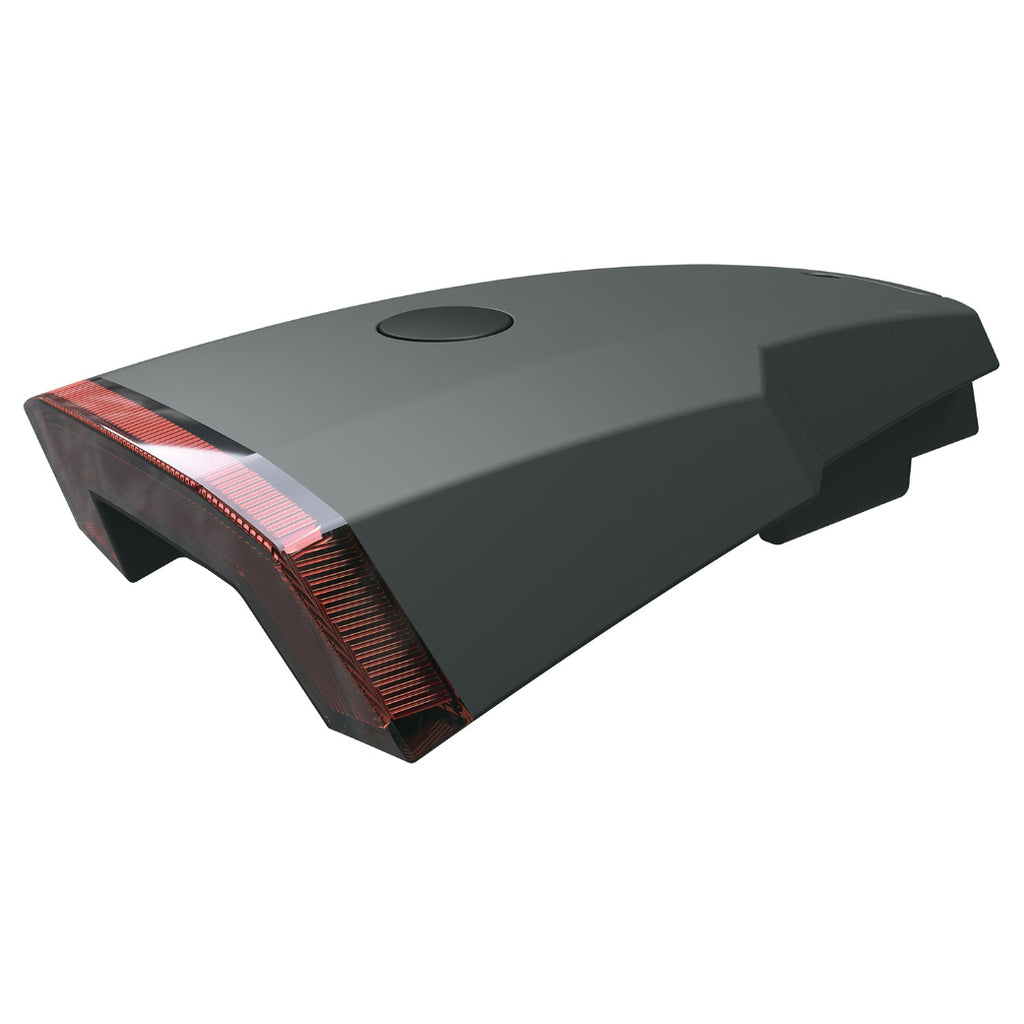 Light for Bicycle Rear Fender